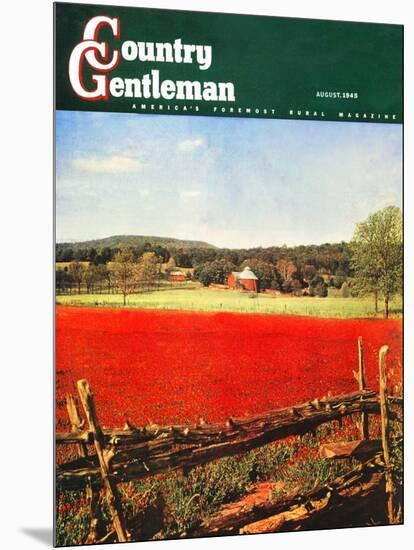 "Photographic Landscape," Country Gentleman Cover, August 1, 1945-R.A. Mawhinney-Mounted Giclee Print