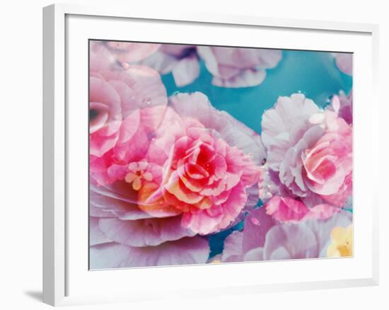 Photographic Layer Work from Blossoms in Water-Alaya Gadeh-Framed Photographic Print