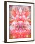 Photographic Layer Work from Flowers Symmetric Ornament-Alaya Gadeh-Framed Photographic Print