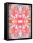 Photographic Layer Work from Flowers Symmetric Ornament-Alaya Gadeh-Framed Stretched Canvas