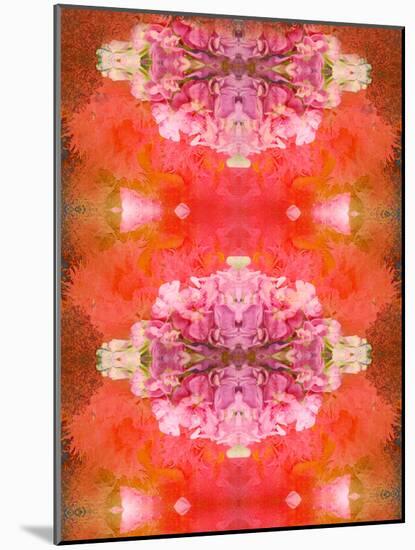 Photographic Layer Work from Flowers Symmetric Ornament-Alaya Gadeh-Mounted Photographic Print