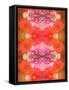 Photographic Layer Work from Flowers Symmetric Ornament-Alaya Gadeh-Framed Stretched Canvas