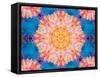 Photographic Layer Work from Flowers Symmetric Ornament-Alaya Gadeh-Framed Stretched Canvas