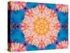 Photographic Layer Work from Flowers Symmetric Ornament-Alaya Gadeh-Stretched Canvas