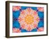 Photographic Layer Work from Flowers Symmetric Ornament-Alaya Gadeh-Framed Photographic Print