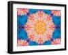 Photographic Layer Work from Flowers Symmetric Ornament-Alaya Gadeh-Framed Photographic Print