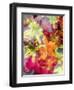 Photographic Layer Work from Lilies and Seashells-Alaya Gadeh-Framed Photographic Print