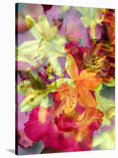 Photographic Layer Work from Lilies and Seashells-Alaya Gadeh-Stretched Canvas