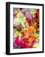 Photographic Layer Work from Lilies and Seashells-Alaya Gadeh-Framed Photographic Print