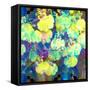 Photographic Layer Work from Orchids and Floral Ornaments-Alaya Gadeh-Framed Stretched Canvas