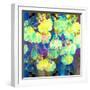 Photographic Layer Work from Orchids and Floral Ornaments-Alaya Gadeh-Framed Photographic Print