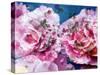 Photographic Layer Work from Pink Blossoms in Waterand Red Roses-Alaya Gadeh-Stretched Canvas