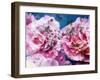 Photographic Layer Work from Pink Blossoms in Waterand Red Roses-Alaya Gadeh-Framed Photographic Print