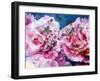 Photographic Layer Work from Pink Blossoms in Waterand Red Roses-Alaya Gadeh-Framed Photographic Print