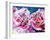 Photographic Layer Work from Pink Blossoms in Waterand Red Roses-Alaya Gadeh-Framed Photographic Print