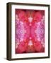 Photographic Layer Work from Poenies and Other Flowers in Delicate Frosted Water-Alaya Gadeh-Framed Photographic Print