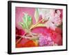 Photographic Layer Work from Poenies and Other Flowers in Delicate Frosted Water-Alaya Gadeh-Framed Photographic Print