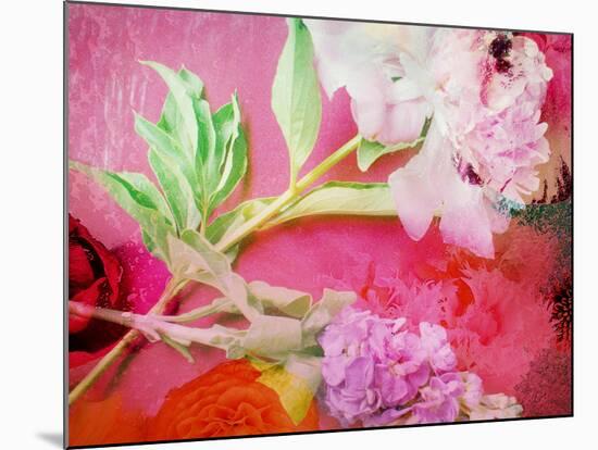 Photographic Layer Work from Poenies and Other Flowers in Delicate Frosted Water-Alaya Gadeh-Mounted Photographic Print