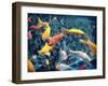 Photographic Layer Work from Swimming Fishes and Leafes-Alaya Gadeh-Framed Photographic Print