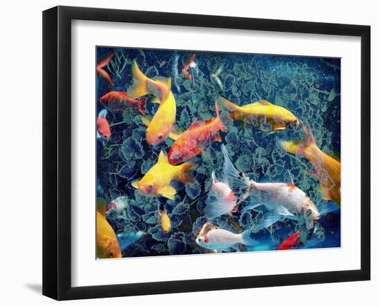 Photographic Layer Work from Swimming Fishes and Leafes-Alaya Gadeh-Framed Photographic Print