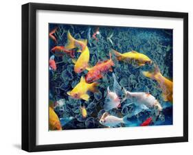 Photographic Layer Work from Swimming Fishes and Leafes-Alaya Gadeh-Framed Photographic Print