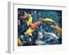 Photographic Layer Work from Swimming Fishes and Leafes-Alaya Gadeh-Framed Photographic Print