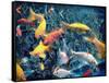 Photographic Layer Work from Swimming Fishes and Leafes-Alaya Gadeh-Framed Stretched Canvas