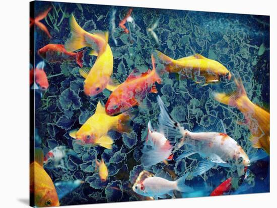 Photographic Layer Work from Swimming Fishes and Leafes-Alaya Gadeh-Stretched Canvas
