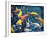 Photographic Layer Work from Swimming Fishes and Leafes-Alaya Gadeh-Framed Photographic Print