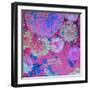 Photographic Layer Work from Trees and Flowers-Alaya Gadeh-Framed Photographic Print
