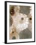 Photographic Layer Work from White and Brown Blossoms-Alaya Gadeh-Framed Premium Photographic Print