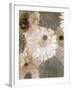 Photographic Layer Work from White and Brown Blossoms-Alaya Gadeh-Framed Photographic Print