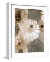 Photographic Layer Work from White and Brown Blossoms-Alaya Gadeh-Framed Photographic Print