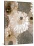 Photographic Layer Work from White and Brown Blossoms-Alaya Gadeh-Stretched Canvas