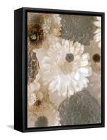 Photographic Layer Work from White and Brown Blossoms-Alaya Gadeh-Framed Stretched Canvas
