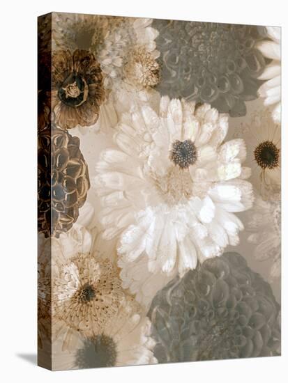 Photographic Layer Work from White and Brown Blossoms-Alaya Gadeh-Stretched Canvas