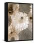 Photographic Layer Work from White and Brown Blossoms-Alaya Gadeh-Framed Stretched Canvas