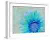 Photographic Layer Work of a Gerber Daisy with Textureand Floral Ornaments in Blue and Green Tones-Alaya Gadeh-Framed Photographic Print