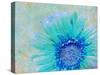 Photographic Layer Work of a Gerber Daisy with Textureand Floral Ornaments in Blue and Green Tones-Alaya Gadeh-Stretched Canvas