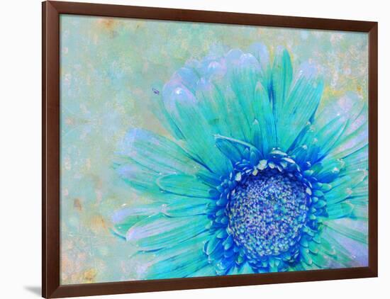 Photographic Layer Work of a Gerber Daisy with Textureand Floral Ornaments in Blue and Green Tones-Alaya Gadeh-Framed Photographic Print
