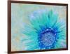 Photographic Layer Work of a Gerber Daisy with Textureand Floral Ornaments in Blue and Green Tones-Alaya Gadeh-Framed Photographic Print