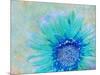 Photographic Layer Work of a Gerber Daisy with Textureand Floral Ornaments in Blue and Green Tones-Alaya Gadeh-Mounted Photographic Print