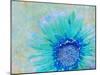 Photographic Layer Work of a Gerber Daisy with Textureand Floral Ornaments in Blue and Green Tones-Alaya Gadeh-Mounted Premium Photographic Print