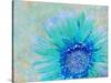 Photographic Layer Work of a Gerber Daisy with Textureand Floral Ornaments in Blue and Green Tones-Alaya Gadeh-Stretched Canvas