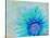 Photographic Layer Work of a Gerber Daisy with Textureand Floral Ornaments in Blue and Green Tones-Alaya Gadeh-Stretched Canvas