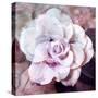 Photographic Layer Work of a White Rose-Alaya Gadeh-Stretched Canvas