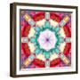 Photographic Mandala from Flowers-Alaya Gadeh-Framed Photographic Print