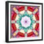 Photographic Mandala from Flowers-Alaya Gadeh-Framed Photographic Print