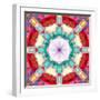 Photographic Mandala from Flowers-Alaya Gadeh-Framed Photographic Print