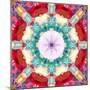 Photographic Mandala from Flowers-Alaya Gadeh-Mounted Photographic Print